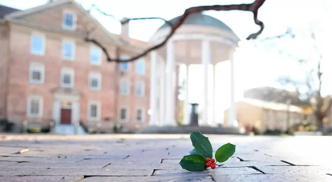 holly leaves and berries on the ground near the Old Well